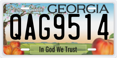 GA license plate QAG9514