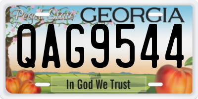 GA license plate QAG9544