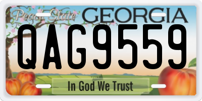 GA license plate QAG9559