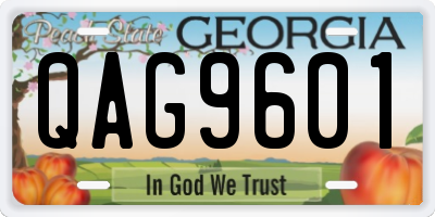 GA license plate QAG9601