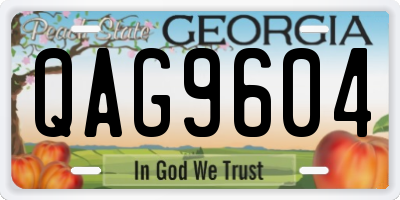 GA license plate QAG9604