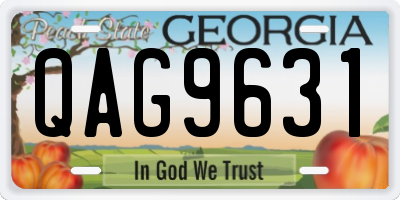 GA license plate QAG9631