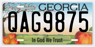 GA license plate QAG9875