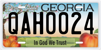 GA license plate QAH0024