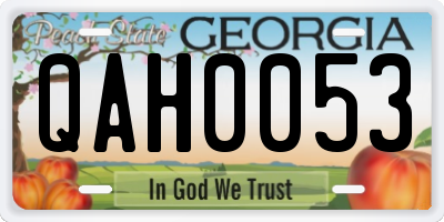 GA license plate QAH0053