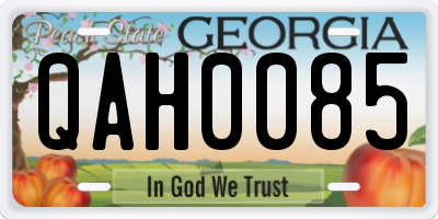 GA license plate QAH0085