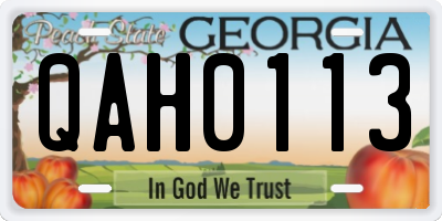 GA license plate QAH0113