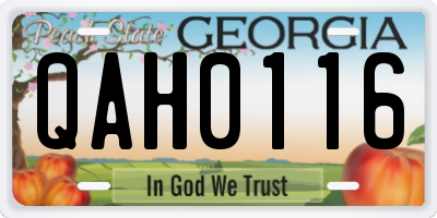 GA license plate QAH0116