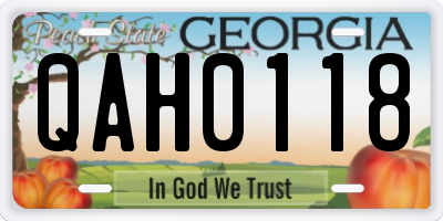 GA license plate QAH0118