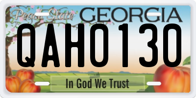 GA license plate QAH0130