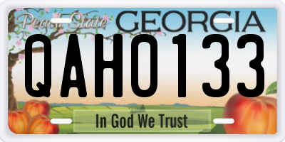 GA license plate QAH0133