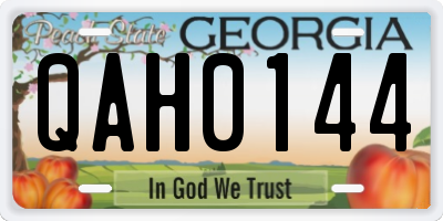 GA license plate QAH0144