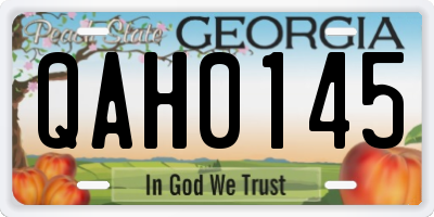 GA license plate QAH0145