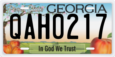 GA license plate QAH0217