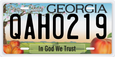 GA license plate QAH0219