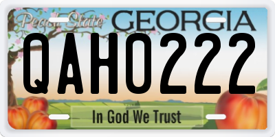GA license plate QAH0222