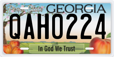 GA license plate QAH0224