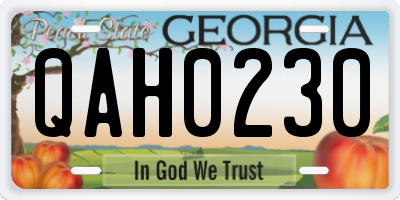 GA license plate QAH0230