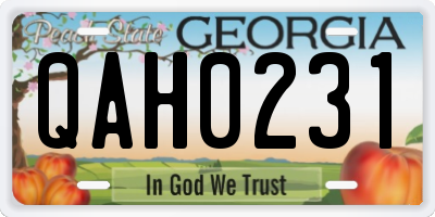 GA license plate QAH0231