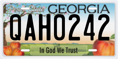 GA license plate QAH0242