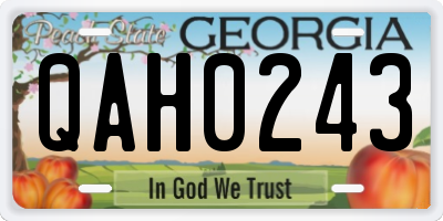 GA license plate QAH0243