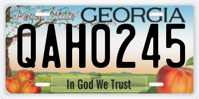 GA license plate QAH0245
