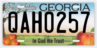 GA license plate QAH0257