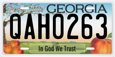 GA license plate QAH0263