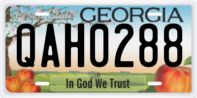 GA license plate QAH0288
