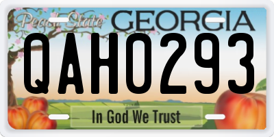 GA license plate QAH0293