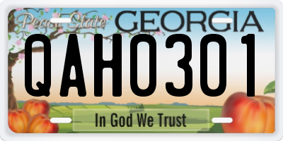 GA license plate QAH0301