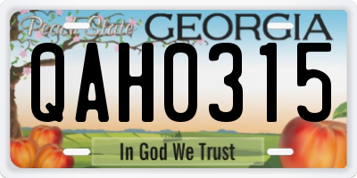 GA license plate QAH0315