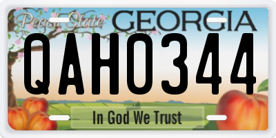 GA license plate QAH0344