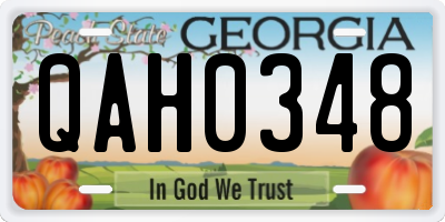 GA license plate QAH0348