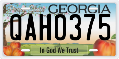 GA license plate QAH0375