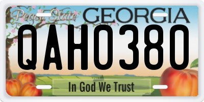 GA license plate QAH0380