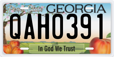 GA license plate QAH0391