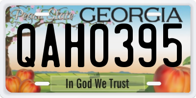 GA license plate QAH0395