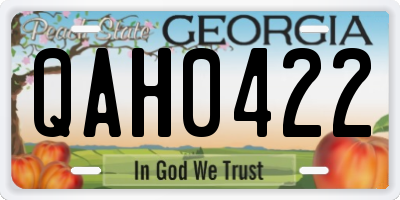 GA license plate QAH0422