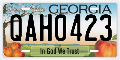 GA license plate QAH0423