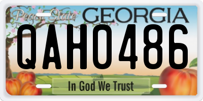 GA license plate QAH0486