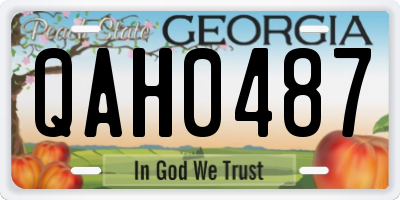 GA license plate QAH0487