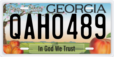 GA license plate QAH0489