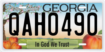 GA license plate QAH0490