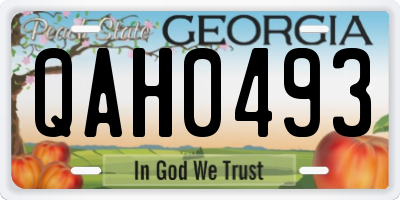 GA license plate QAH0493