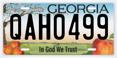 GA license plate QAH0499