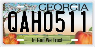 GA license plate QAH0511