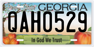 GA license plate QAH0529