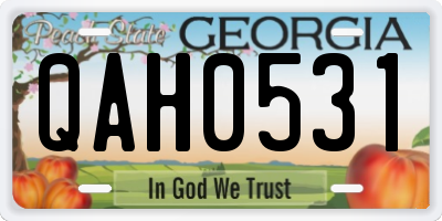 GA license plate QAH0531