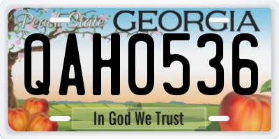 GA license plate QAH0536